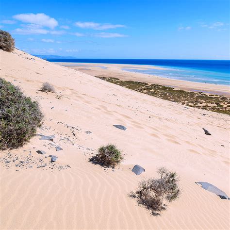 granada fuerteventura|Web oficial